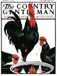 "Fowl Reflections," Country Gentleman Cover, October 27, 1923-Paul Bransom-Framed Giclee Print