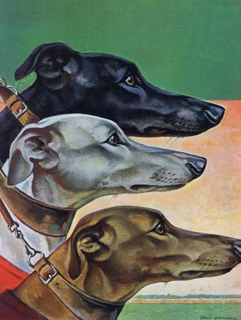Greyhound wall art hotsell