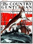 "Fowl Reflections," Country Gentleman Cover, October 27, 1923-Paul Bransom-Giclee Print