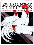 "Roosting Rooster and Hens," Country Gentleman Cover, December 8, 1923-Paul Bransom-Framed Giclee Print