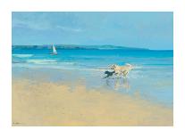Summer Sands-Paul Brown-Giclee Print
