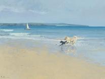 Tropical Beach II-Paul Brown-Framed Giclee Print