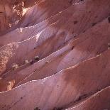 Delicate Arch, Arches National Park, Utah, USA-Paul C. Pet-Framed Photographic Print