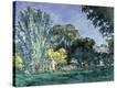 Stretched Canvas Print