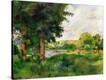 Stretched Canvas Print