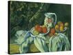 Stretched Canvas Print