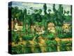 Stretched Canvas Print