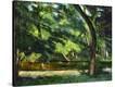 Stretched Canvas Print