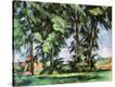 Stretched Canvas Print