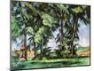 Giclee Print