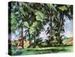 Stretched Canvas Print