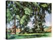 Stretched Canvas Print