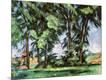 Giclee Print