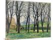 Giclee Print