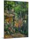 Premium Giclee Print