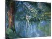 Stretched Canvas Print