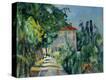 Stretched Canvas Print