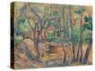 Stretched Canvas Print