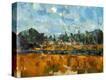 Stretched Canvas Print