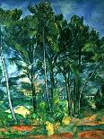 A View of Auvers-Sur-Oise; the Fence-Paul Cézanne-Giclee Print