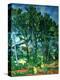 Stretched Canvas Print