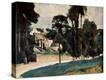 Stretched Canvas Print