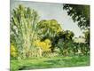 Giclee Print