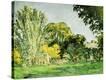 Stretched Canvas Print