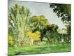 Giclee Print