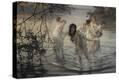 Stretched Canvas Print