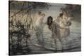 Stretched Canvas Print