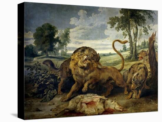Stretched Canvas Print, , large