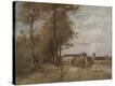 Stretched Canvas Print