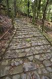 A Cobble Stone Path Leading Through the Grounds of Kasuga Taisha Shrine in Nara, Japan-Paul Dymond-Photographic Print