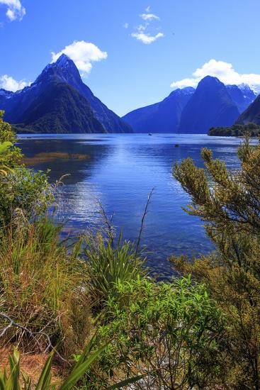Premium Photographic Print, , large