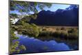 Photographic Print