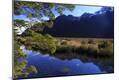 Photographic Print