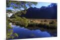 Photographic Print