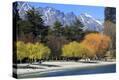 Stretched Canvas Print