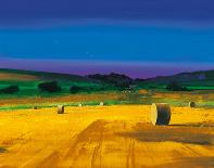 Late Afternoon-Paul Evans-Stretched Canvas