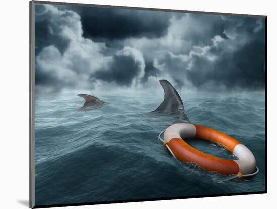 Photographic Print, , large