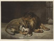 The Lion's Awakening-Paul Friedrich Meyerheim-Giclee Print