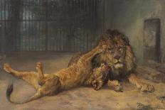 The Lion's Awakening-Paul Friedrich Meyerheim-Giclee Print