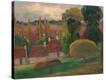 Stretched Canvas Print