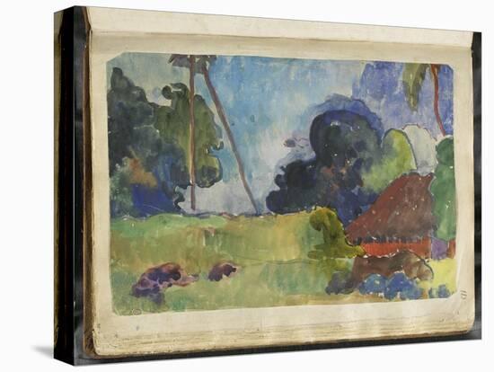 Stretched Canvas Print, , large