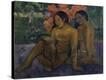 Stretched Canvas Print