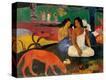 Stretched Canvas Print