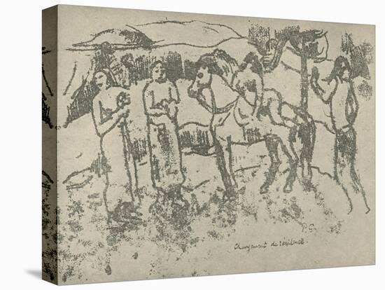 Stretched Canvas Print, , large
