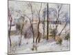 Premium Giclee Print