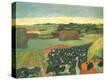 Stretched Canvas Print